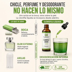 Clorofila - Desintoxicación Natural