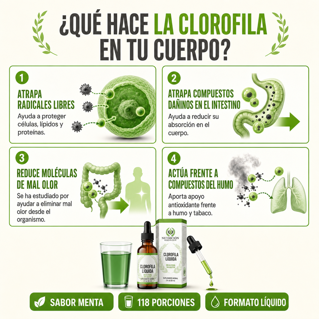 Clorofila - Desintoxicación Natural